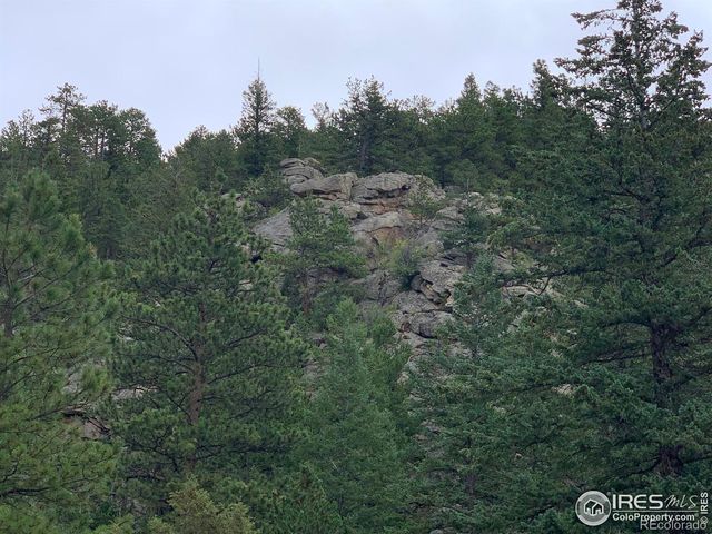 875 Pine Tree Drive, Estes Park, CO 80517