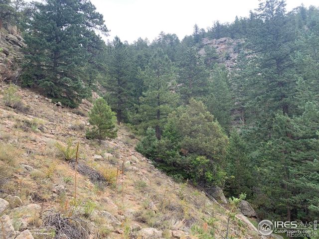 875 Pine Tree Drive, Estes Park, CO 80517