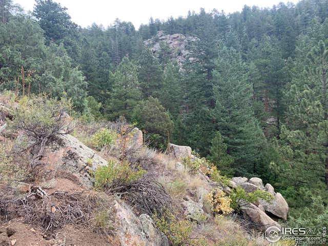 875 Pine Tree Drive, Estes Park, CO 80517