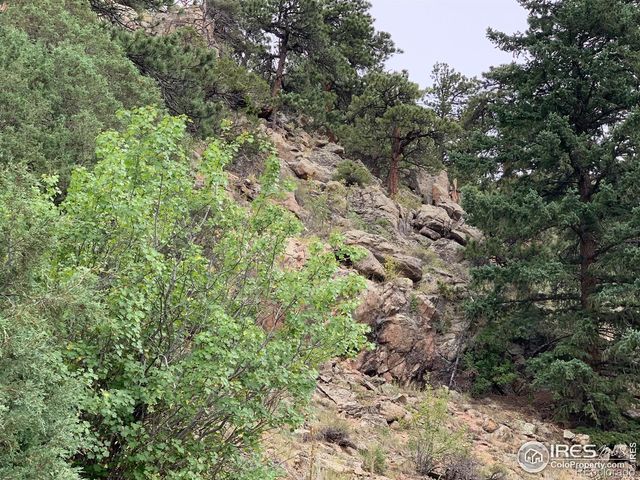 875 Pine Tree Drive, Estes Park, CO 80517