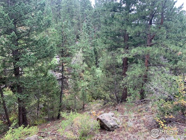 875 Pine Tree Drive, Estes Park, CO 80517