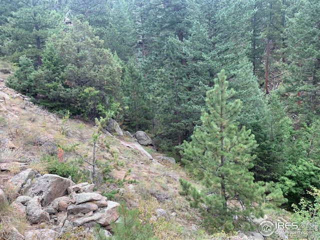 875 Pine Tree Drive, Estes Park, CO 80517