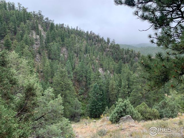 875 Pine Tree Drive, Estes Park, CO 80517