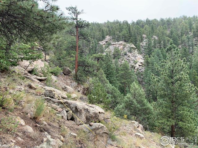 875 Pine Tree Drive, Estes Park, CO 80517