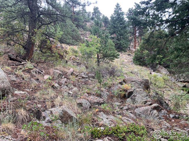 875 Pine Tree Drive, Estes Park, CO 80517