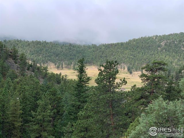 875 Pine Tree Drive, Estes Park, CO 80517