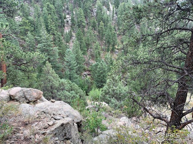 875 Pine Tree Drive, Estes Park, CO 80517