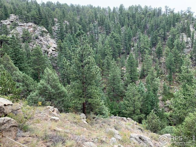 875 Pine Tree Drive, Estes Park, CO 80517