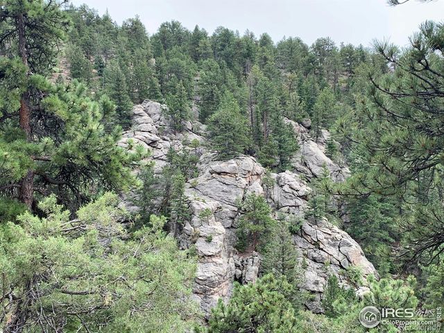 875 Pine Tree Drive, Estes Park, CO 80517