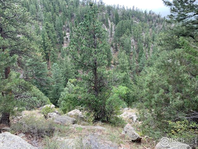 875 Pine Tree Drive, Estes Park, CO 80517