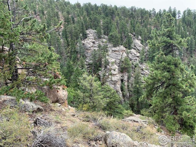 875 Pine Tree Drive, Estes Park, CO 80517