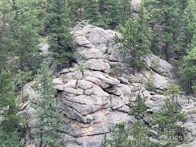 875 Pine Tree Drive, Estes Park, CO 80517