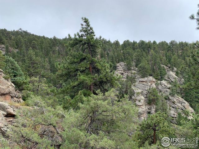 875 Pine Tree Drive, Estes Park, CO 80517