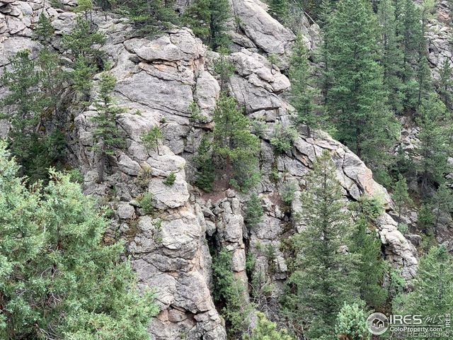 875 Pine Tree Drive, Estes Park, CO 80517