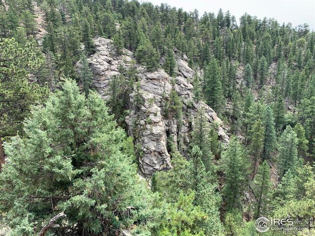 875 Pine Tree Drive, Estes Park, CO 80517