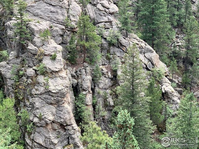 875 Pine Tree Drive, Estes Park, CO 80517