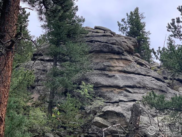 875 Pine Tree Drive, Estes Park, CO 80517