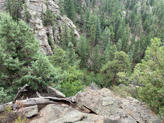 875 Pine Tree Drive, Estes Park, CO 80517