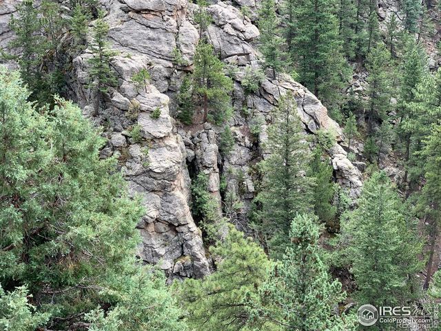 875 Pine Tree Drive, Estes Park, CO 80517