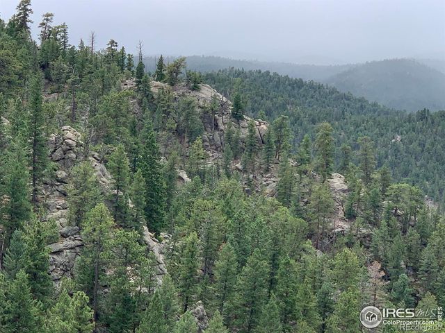 875 Pine Tree Drive, Estes Park, CO 80517