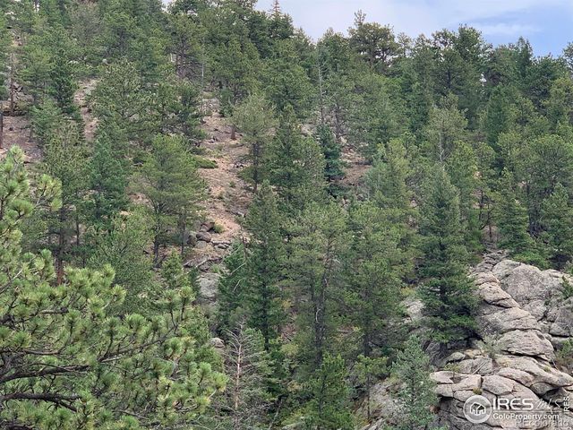 875 Pine Tree Drive, Estes Park, CO 80517