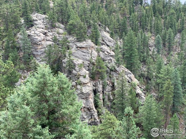 875 Pine Tree Drive, Estes Park, CO 80517