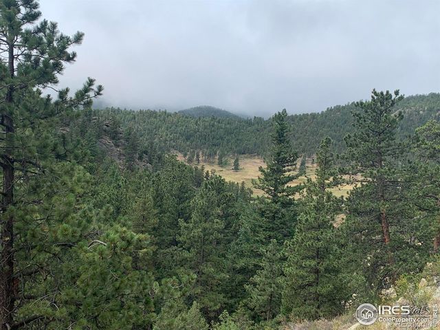 875 Pine Tree Drive, Estes Park, CO 80517