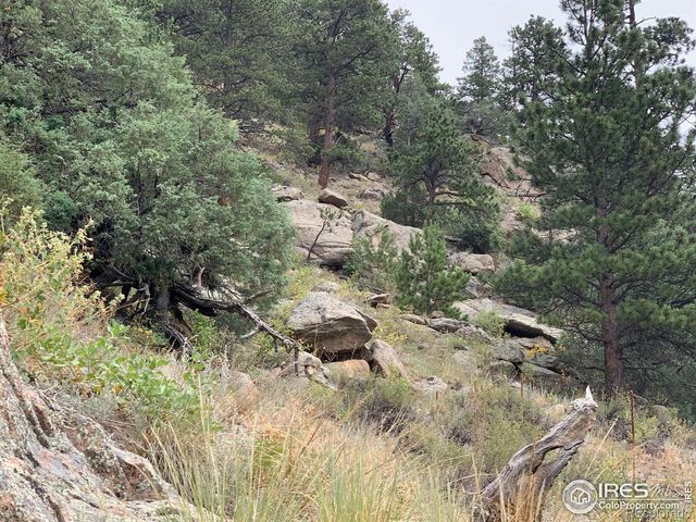 875 Pine Tree Drive, Estes Park, CO 80517