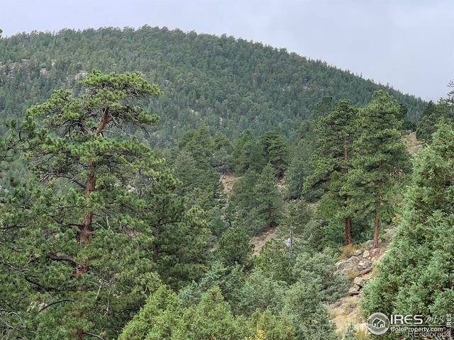 875 Pine Tree Drive, Estes Park, CO 80517