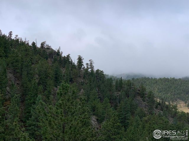 875 Pine Tree Drive, Estes Park, CO 80517