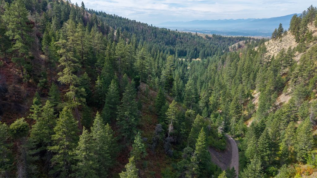 NHN Copper Ridge Trail, Florence, MT 59833 photo 10