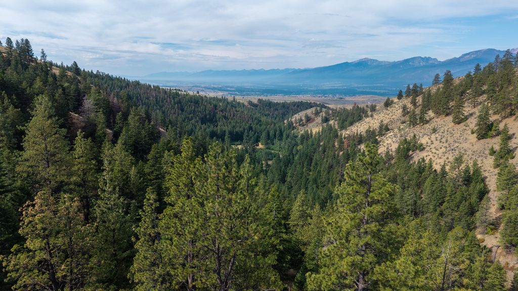 NHN Copper Ridge Trail, Florence, MT 59833 photo 11