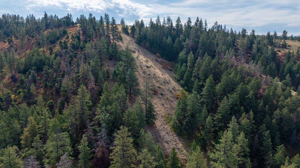 NHN Copper Ridge Trail, Florence, MT 59833 photo 12