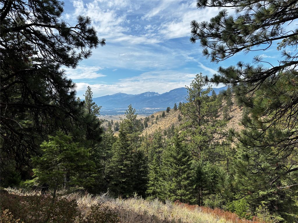NHN Copper Ridge Trail, Florence, MT 59833 photo 15