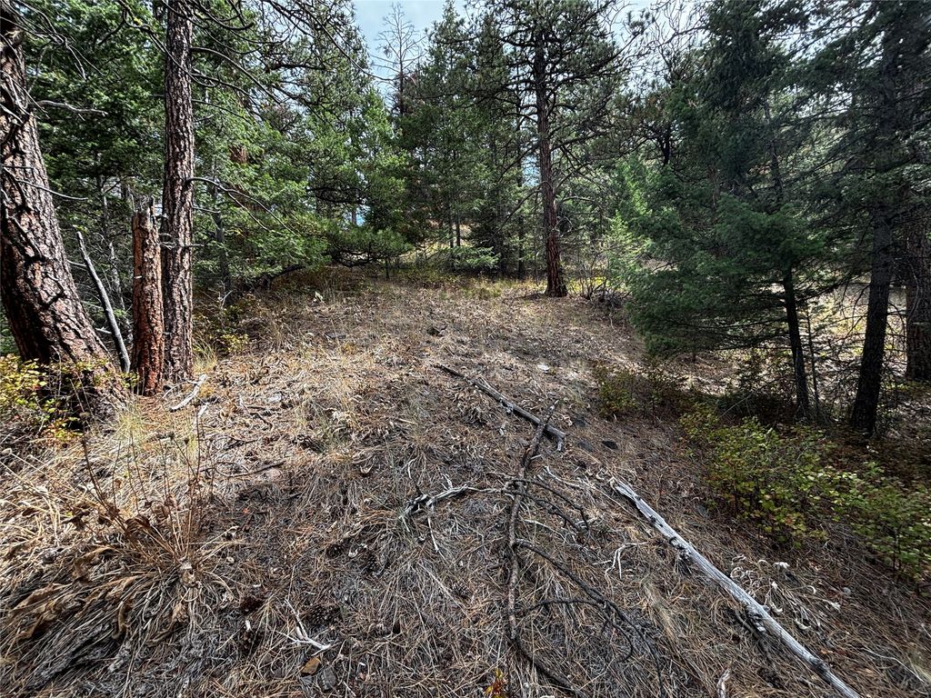 NHN Copper Ridge Trail, Florence, MT 59833 photo 17