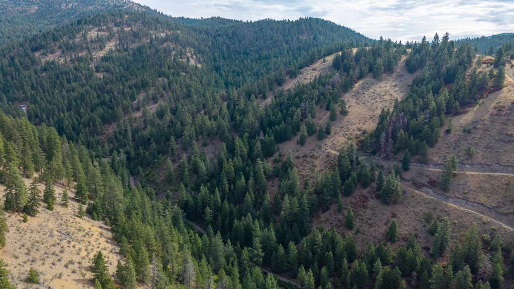 NHN Copper Ridge Trail, Florence, MT 59833 photo 4