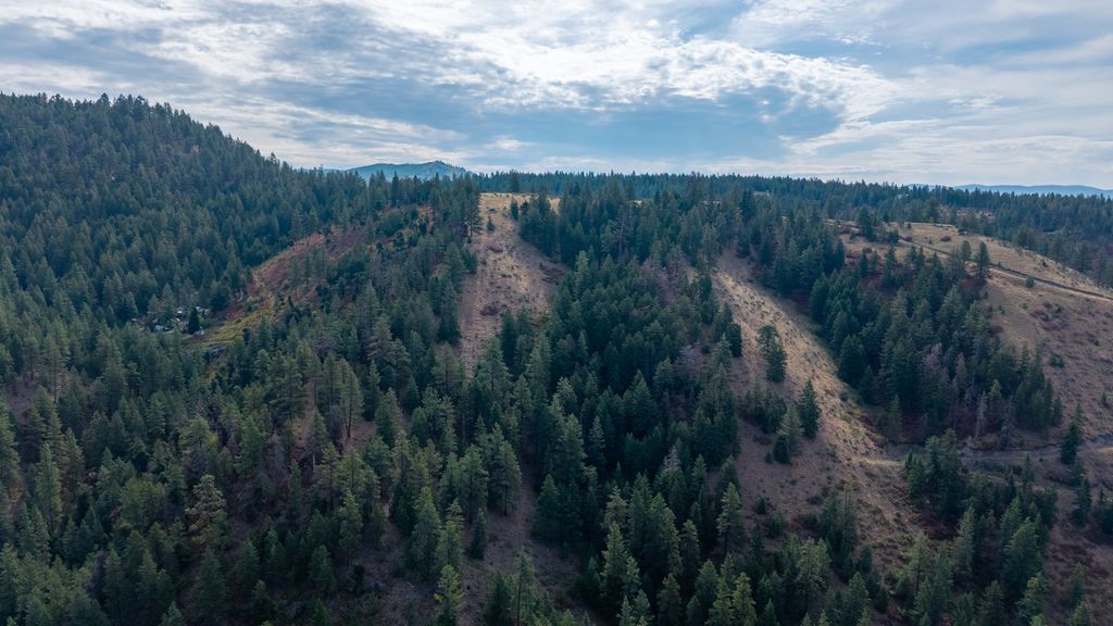 NHN Copper Ridge Trail, Florence, MT 59833 photo 5