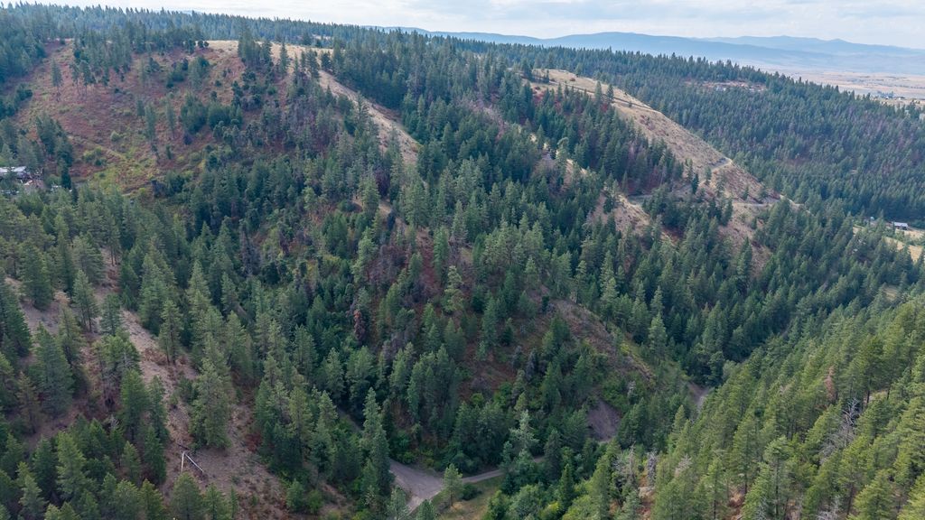NHN Copper Ridge Trail, Florence, MT 59833 photo 6