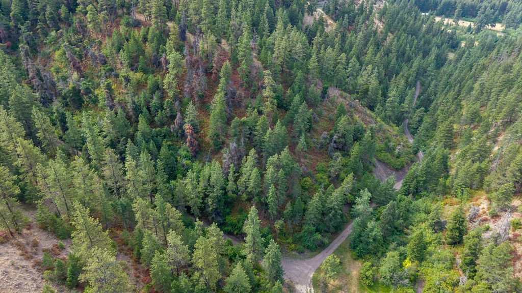 NHN Copper Ridge Trail, Florence, MT 59833 photo 8
