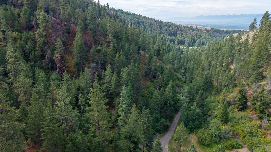 NHN Copper Ridge Trail, Florence, MT 59833 photo 9
