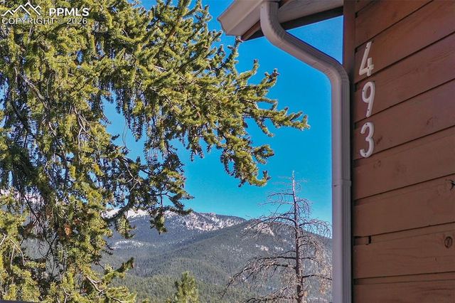493 Horseshoe Drive, Divide, CO 80814