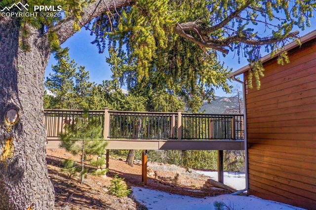 493 Horseshoe Drive, Divide, CO 80814