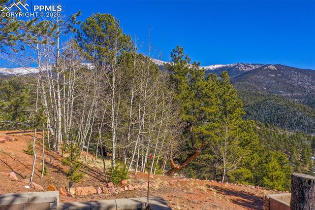 493 Horseshoe Drive, Divide, CO 80814