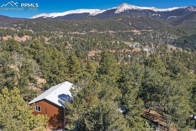 493 Horseshoe Drive, Divide, CO 80814
