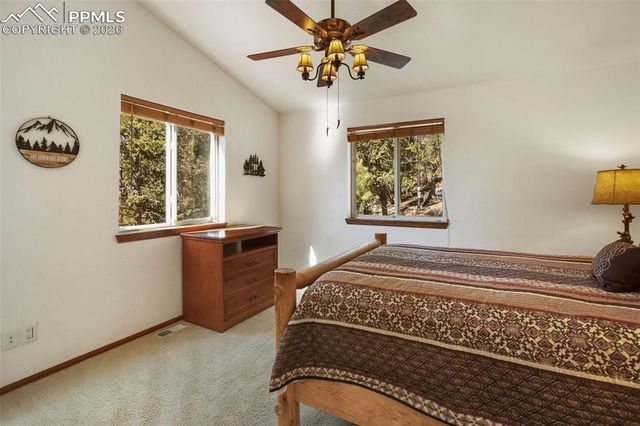 493 Horseshoe Drive, Divide, CO 80814