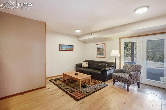 493 Horseshoe Drive, Divide, CO 80814