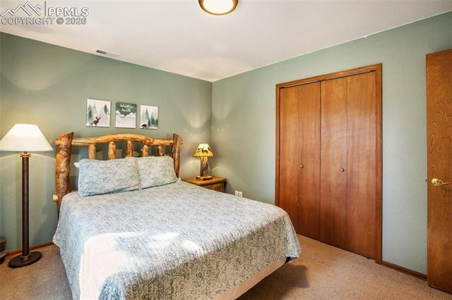 493 Horseshoe Drive, Divide, CO 80814