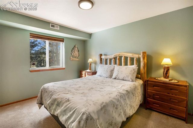 493 Horseshoe Drive, Divide, CO 80814