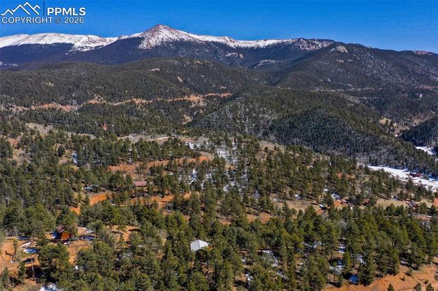 493 Horseshoe Drive, Divide, CO 80814