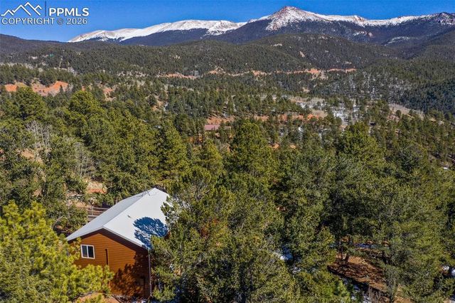 493 Horseshoe Drive, Divide, CO 80814